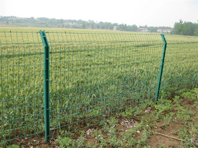 C型柱護(hù)欄網(wǎng) C型柱護(hù)欄網(wǎng)